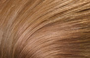 l'oreal hair color caramel