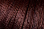 l'oreal hair color chart garnet