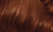 clairol hair color light auburn